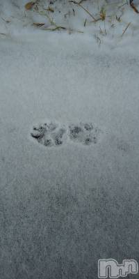 上田発デリヘル 人妻華道 上田店(ヒトヅマハナミチウエダテン) 【熟女】春美(45)の12月31日写メブログ「今年も」