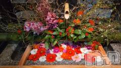 ����ȯ����ѥ˥��󥯥�֤Τ�Ź®���🎍���դΤ��ĤӤ򿽤��夲�ޤ�🎍��