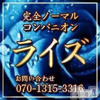 ȯѥ˥󥯥֥ѥ˥󥯥 饤  2024ǯ1211̥֥˺ǯ񡡤ͽ󾵤桡ͽǽǤ