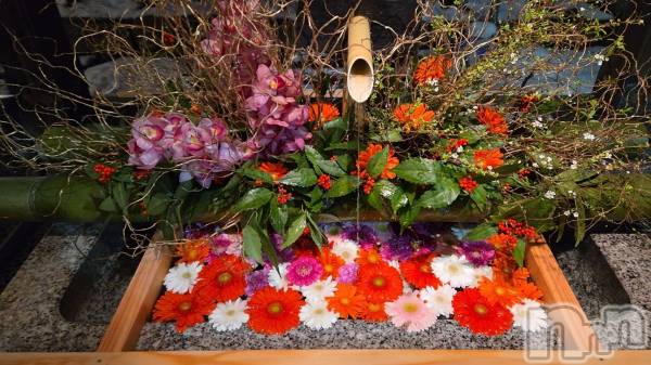 ����ȯ����ѥ˥��󥯥�֥���ѥ˥��󥯥�� �饤�� �� 2026ǯ1��1���̥�֥�����🎍新春のお慶びを申し上げます🎍��