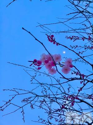 ȯѥ˥󥯥֥ѥ˥󥯥 饤 ()48̥֥🌸