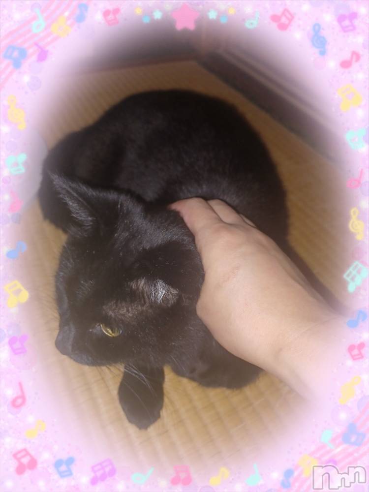 ȯѥ˥󥯥֥ѥ˥󥯥 饤 ߤȤ714̥֥־뤤Ǥ🥲