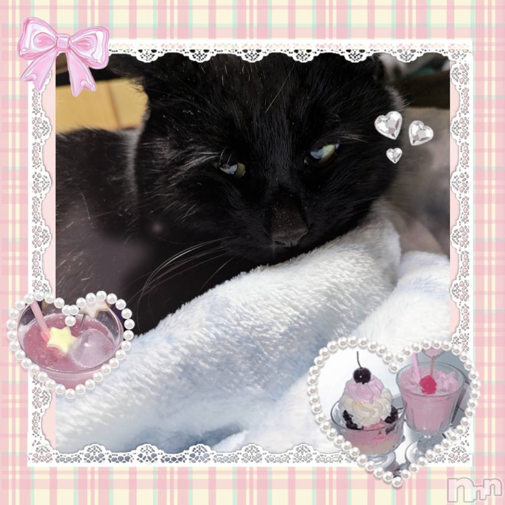 ����ȯ����ѥ˥��󥯥�֥���ѥ˥��󥯥�� �饤�� �ߤ��Ȥ�4��1���̥�֥����ֽ�🌸😊��