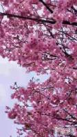 ָ🌸😊
