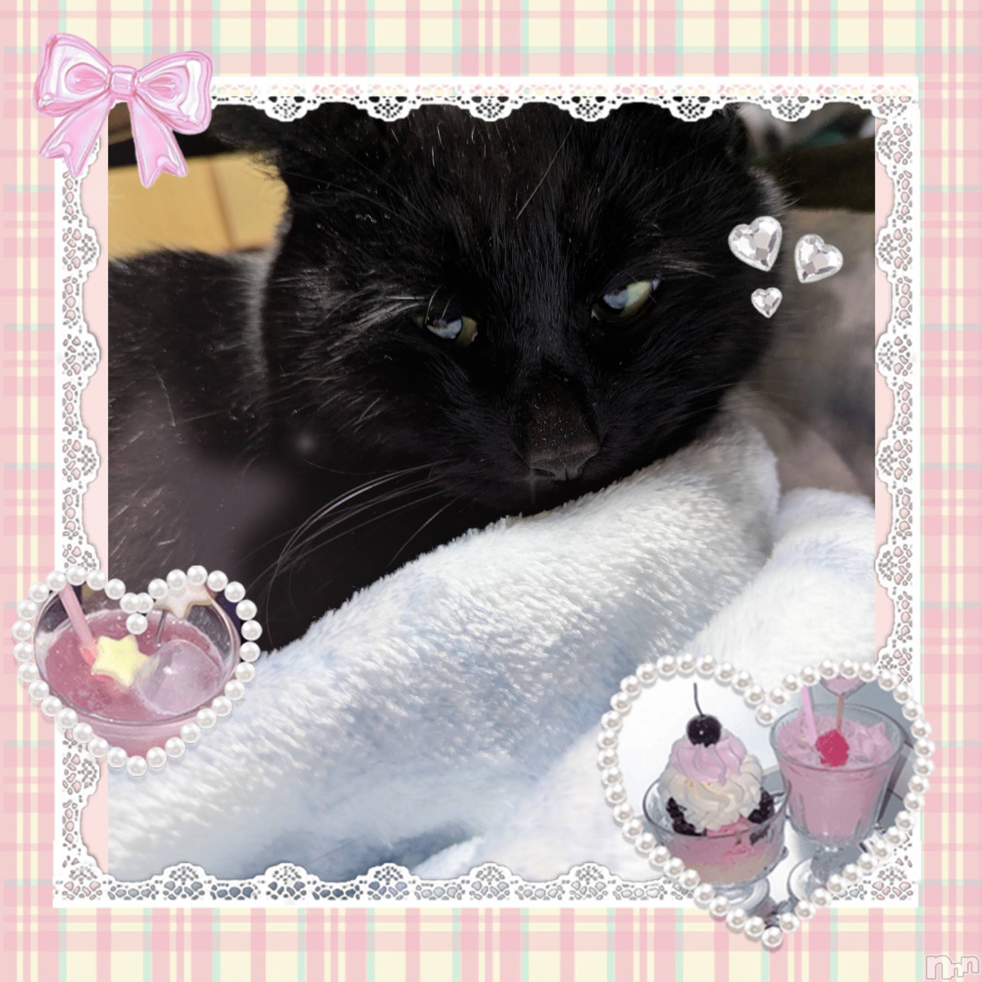 ����ȯ����ѥ˥��󥯥�֥���ѥ˥��󥯥�� �饤�� ��2026ǯ4��1���̥�֥����ֽ�🌸😊��