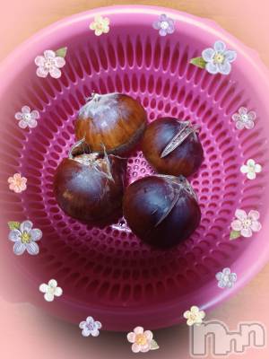 ȯѥ˥󥯥֥ѥ˥󥯥 饤 ߤȤ1018ֽ̥֥🍁🍂😊
