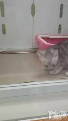 (^^)