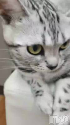 (*ϡ*)Ύߎ