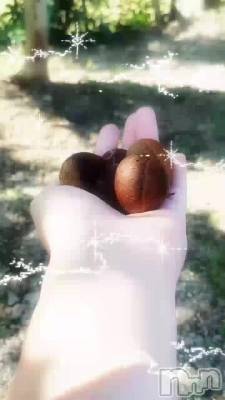 🌰😊