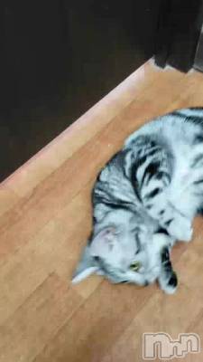 (//////)