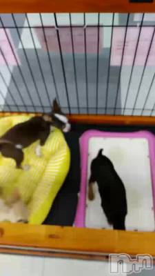 (_)