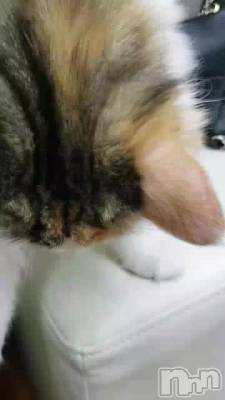 줿