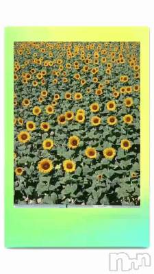 Ҥޤ🌻Ȫ☺️