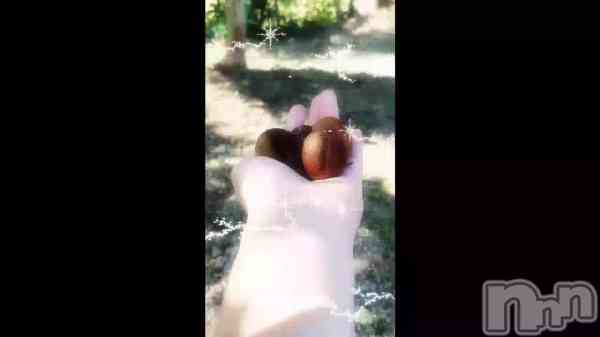 &#x1F330;&#x1F60A;