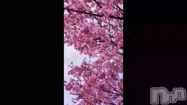 ָ֤&#x1F338;&#x1F60A;