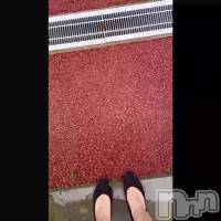 �����ߤäƤ�����(*����������*)
