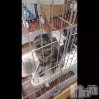 ��(&nbsp;���ϡ�)��(���ϡ�&nbsp;)��