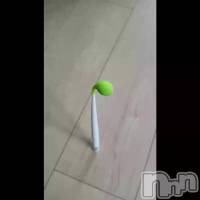 ���ڻ���ĺ������(�͡���`*)��