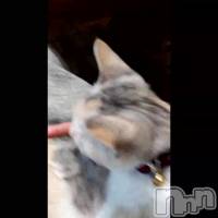 (&nbsp;������)