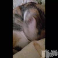 (&nbsp;v^-��)��