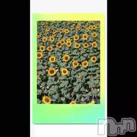�Ҥޤ��🌻Ȫ☺️