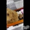ȯѥ˥󥯥֥ѥ˥󥯥 饤 ߤȤư(ϡ͡ϡ)