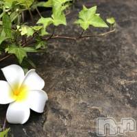 松本発デリヘル aroMana-松本市発(アロマーナ-マツモトシハツ)の10月13日お店速報「申し訳ありませんが恥ずかしくて情けない恰好を少しの間だけ我慢してください」