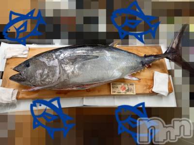 三条デリヘル まぐろさんいらっしゃ～い！-出稼ぎ0！地元の痴女専門店-(マグロサンイラッシャ～イ) ゆり(35)の7月3日写メブログ「リアルまぐろとれちゃった☆」