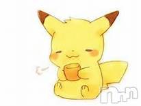 新潟デリヘルの2026年2月17日お店速報「本日完売終了致しました明日はお休み致します明後日14時~イケます」