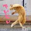 ジャスミン 貴女の最後の風俗店