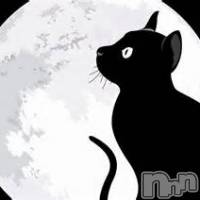 新潟デリヘル ジャスミンの10月25日お店速報「本日完売終了致しました次は10/27御案内出来ます」