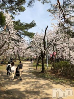 上越デリヘル 上越風俗出張アロママッサージ(ジョウエツフウゾクシュッチョウアロママッサージ) まどか★(35)の4月4日写メブログ「高田公園☆最新情報☆」