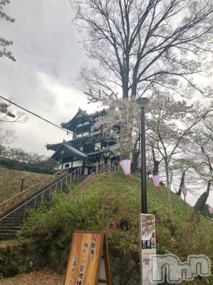 上越デリヘル 上越風俗出張アロママッサージ(ジョウエツフウゾクシュッチョウアロママッサージ) まどか★(35)の4月4日写メブログ「観桜会にて…」