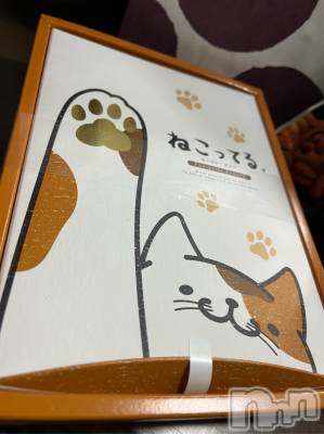 上越デリヘル 上越風俗出張アロママッサージ(ジョウエツフウゾクシュッチョウアロママッサージ) まどか★(35)の10月27日写メブログ「ねこってる」
