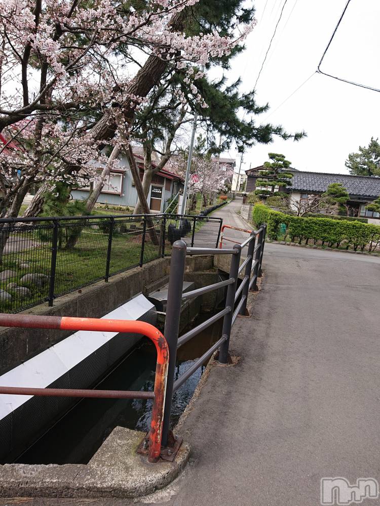 上越人妻デリヘルらぶ妻　～新潟の人妻が集う店～(ラブツマ) 【お得妻】渡辺かな★即尺◎(49)の4月8日写メブログ「もぅ行きましたか？？」
