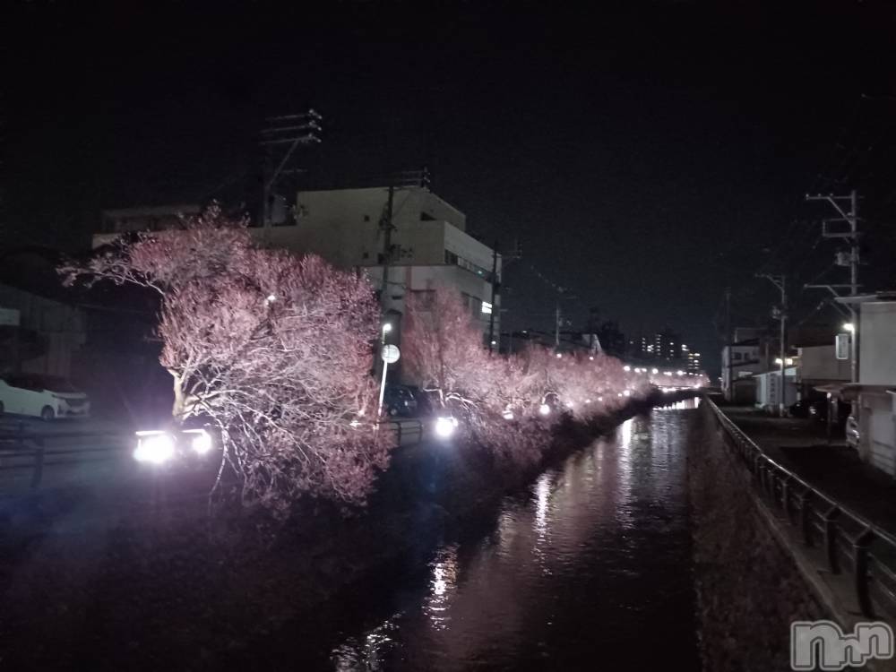 上越デリヘルらぶ妻　～新潟の人妻が集う店～(ラブツマ) 【お得妻】渡辺かな★即尺◎(49)の3月30日写メブログ「綺麗だったので思わず…」