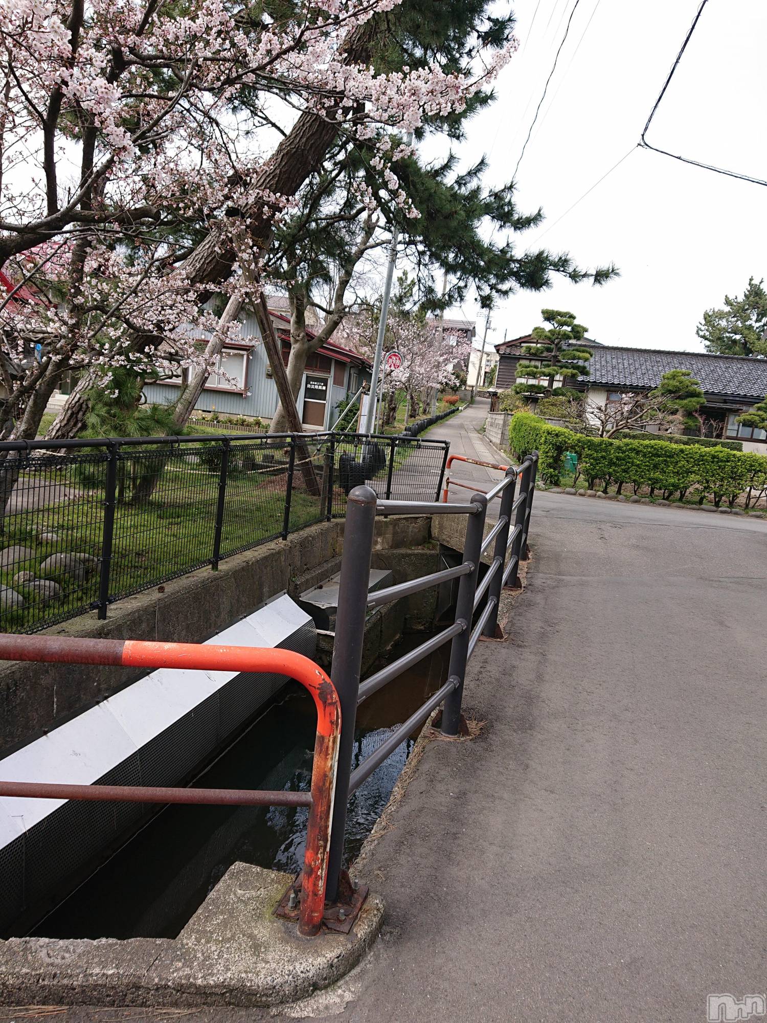 上越人妻デリヘルらぶ妻　～新潟の人妻が集う店～(ラブツマ)【お得妻】渡辺かな★即尺◎(49)の2019年4月8日写メブログ「もぅ行きましたか？？」