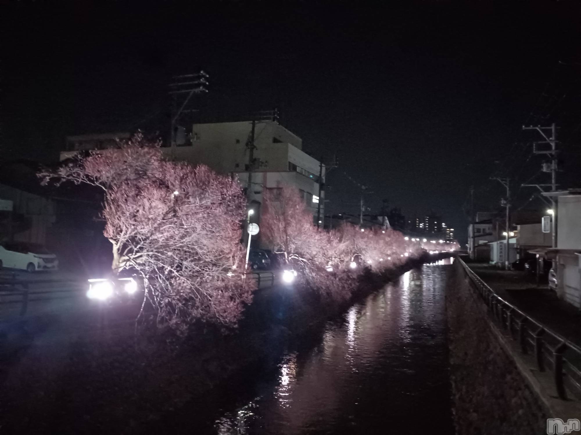 上越デリヘルらぶ妻　～新潟の人妻が集う店～(ラブツマ)【お得妻】渡辺かな★即尺◎(49)の2026年3月30日写メブログ「綺麗だったので思わず…」