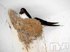 上越デリヘルらぶ妻　～新潟の人妻が集う店～(ラブツマ) 【お得妻】渡辺かな★即尺◎(49)の7月6日写メブログ「土曜日以降ゎまだ未定です💦」