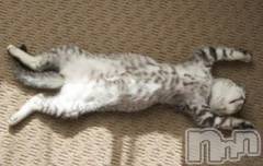 上越デリヘルらぶ妻　～新潟の人妻が集う店～(ラブツマ) 【お得妻】渡辺かな★即尺◎(49)の7月7日写メブログ「毎日、ホント暑くてイヤになる(  ›_‹  )💦」