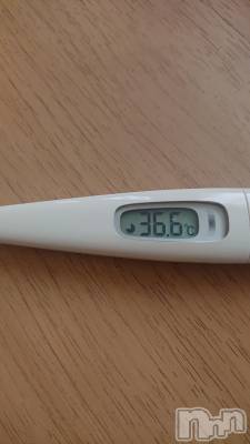 上越デリヘル らぶ妻　～新潟の人妻が集う店～(ラブツマ) 【お得妻】渡辺かな★即尺◎(49)の6月12日写メブログ「遅くなったけど、本日の体温です♪」