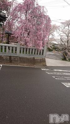 上越デリヘル らぶ妻　～新潟の人妻が集う店～(ラブツマ) 【お得妻】渡辺かな★即尺◎(49)の4月14日写メブログ「お休みに入りますm(*_ _)m」