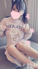 新潟デリヘルMinx(ミンクス) 萌奈(28)の2月22日写メブログ「ねこねこ食パン」
