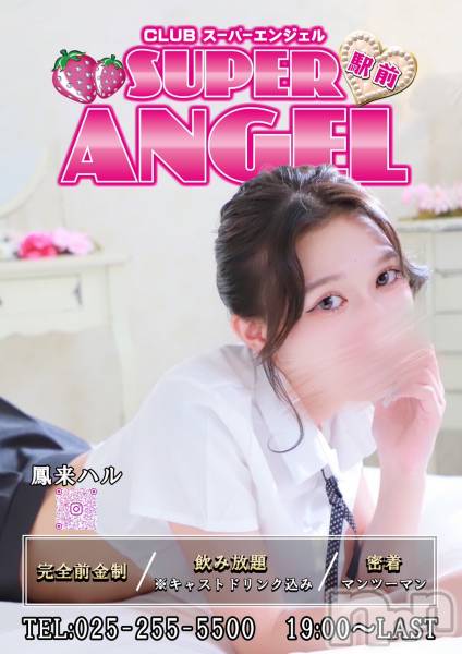 С㤭SUPER ANGEL(ѡ󥸥)  2024ǯ113ֿ̥֥ǣ夬Ϥޤ❣❣