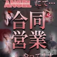 新潟おっパブ SUPER ANGEL(スーパーエンジェル)の8月2日お店速報「本日は駅前スーパーエンジェルにて合同営業！！」