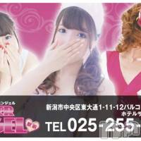 新潟おっパブ SUPER ANGEL(スーパーエンジェル)の1月12日お店速報「本日エプロンデー」