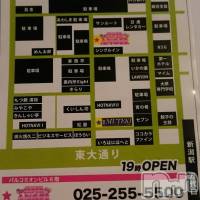 新潟おっパブ SUPER ANGEL(スーパーエンジェル)の7月2日お店速報「本日ベビードールデー」