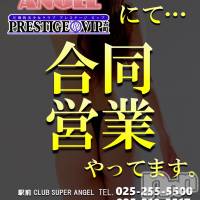 新潟おっパブ SUPER ANGEL(スーパーエンジェル)の4月30日お店速報「16時オーブン」