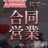 新潟おっパブ SUPER ANGEL(スーパーエンジェル)の6月5日お店速報「日曜もやってます！駅前エンジェル合同営業！」