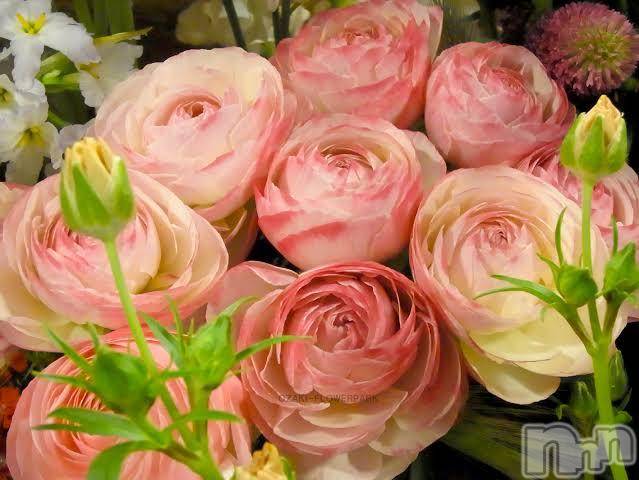 上越デリヘル上越風俗出張アロママッサージ(ジョウエツフウゾクシュッチョウアロママッサージ) あさか★沖縄SP(24)の5月28日写メブログ「応援コメント下さった、U様へ」